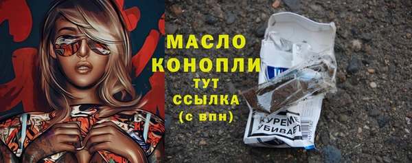 скорость Вяземский