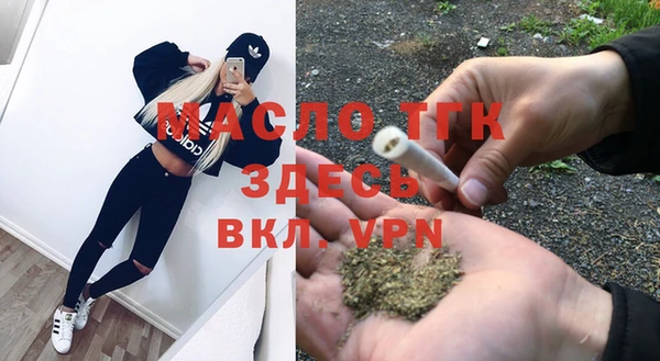 скорость Вяземский
