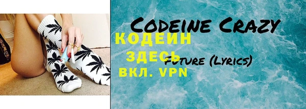 скорость Вяземский